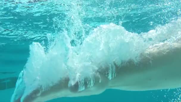 Hand Making Giant Splash Pool Water Leaving Many Bubbles — Stock videók