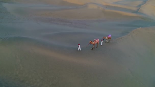 Aerial Wide Shot Two Man Walking Camels Sand Dune Desert — Wideo stockowe