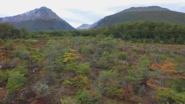 Ushuaia Flygutsikt Ushuaia Huvudstad Provinsen Tierra Del Fuego Argentina — Stockvideo