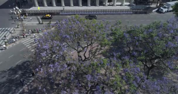 Aerial Scene Metropolitan Cathedral Argentina Panning Cathedral — Video Stock