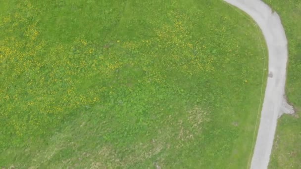 Aerial Swiss Grassy Valley Small Village Gondola — ストック動画