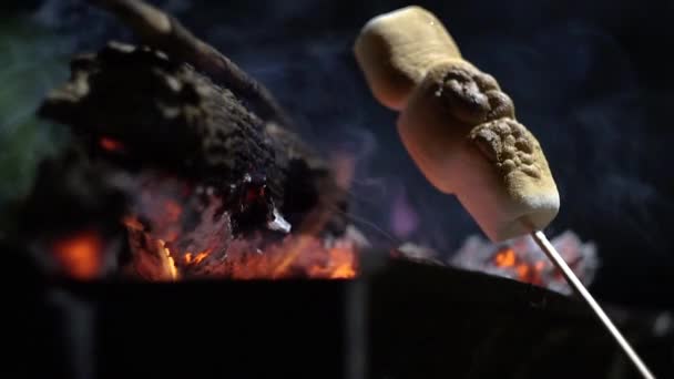 Assar Marshmallows Fogo Jardim Tarde Noite — Vídeo de Stock