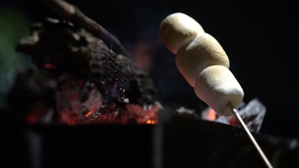 Marshmallows Roasting Fire Night — Vídeo de Stock