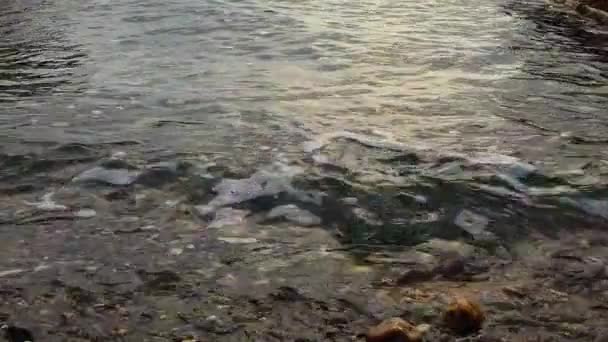 Waves Coming Stoney Shore — Vídeos de Stock