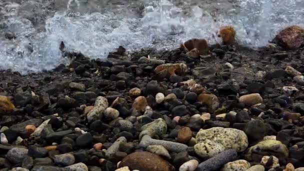 Water Rushes Stones Shore — Stock Video