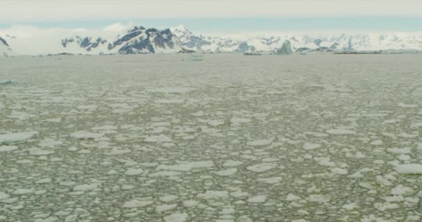 Iceberg Вид Льодовикове Поле — стокове відео