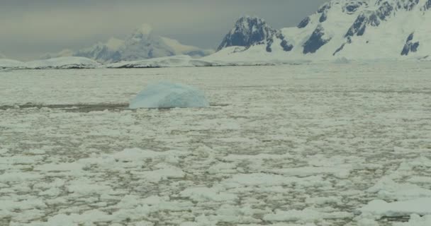 Iceberg Icefield View — Stockvideo
