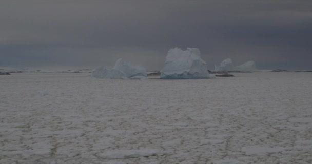 Παγόβουνο Και Παγόβουνο Παγετώνας Ανταρκτικής Χερσονήσου — Αρχείο Βίντεο