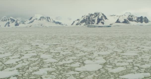 Айсберг Айсфілд Льодовиковий Лід Антарктичного Півострова — стокове відео