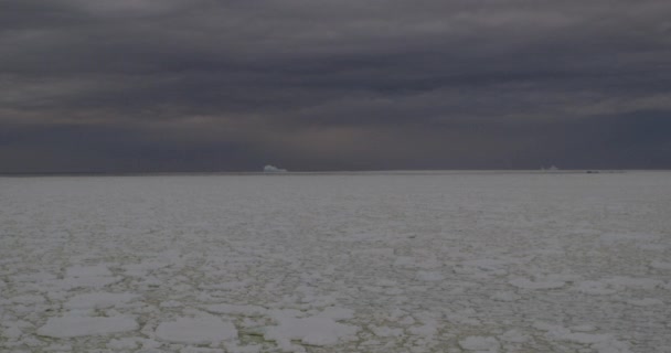 Iceberg Icefield Antarctic Peninsula Glacial Ice — Stockvideo