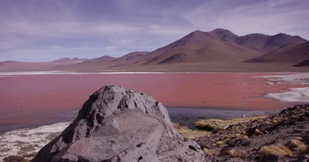 Bolivia Red Lake Landscape — Stock Video