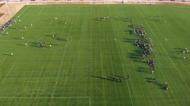 Ultimate Frisbee Tournament Field Aerial — 图库视频影像