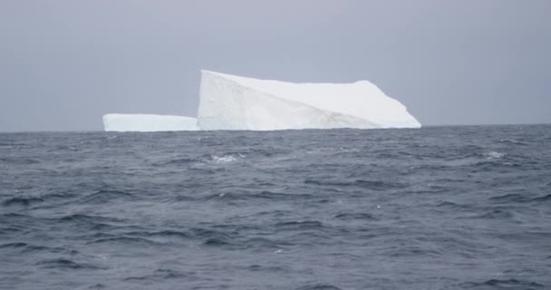 Iceberg Floating Ocean Slow Motion — 비디오