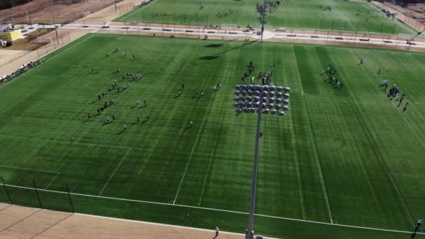 Ultimate Frisbee Tournament Field Aerial — Video Stock
