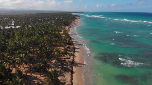 Punta Cana Dominican Republic Beach Aerial Daytime — Stockvideo