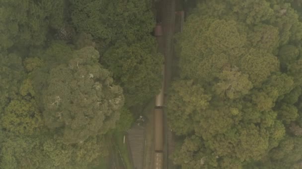 Aerial Shot Commuter Train Moves Forest Foggy — Wideo stockowe