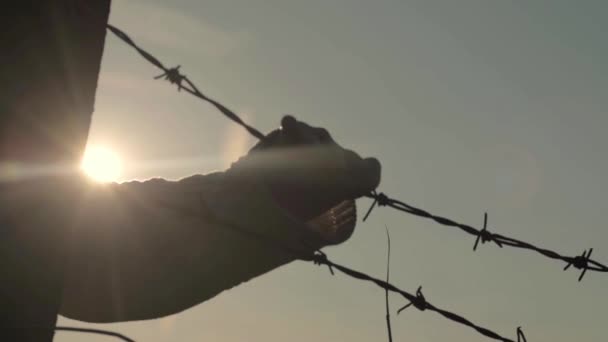 Uvězněni Ostnatým Drátěným Plotem Při Západu Slunce — Stock video