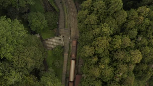 Letecký Záběr Dojíždějícího Vlaku Pohybuje Lese Mlze — Stock video