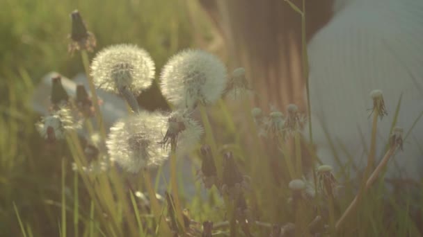 Woman Relaxing Summer Meadow Reading Book — 图库视频影像