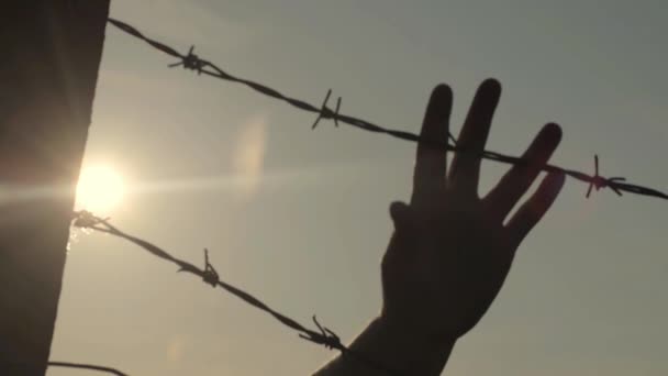 Trapped Barbed Wire Fence Sun Falls — Vídeo de Stock