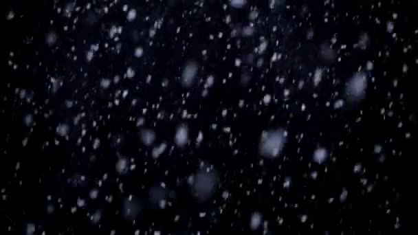 Falling Snow Night Snowflakes Black Background Winter — Video