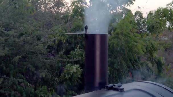 Dym Wydobywający Się Pieca Wyobraź Sobie Jak Pyszne Będą Foo — Wideo stockowe
