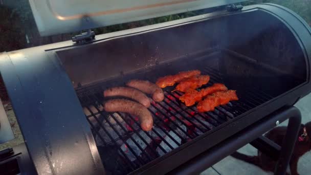 Looking Sausages Chicken Sate Getting Heat Smoke Bbq – Stock-video