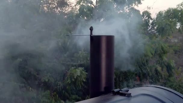 Dym Wydobywający Się Pieca Wyobraź Sobie Jak Pyszne Będą Foo — Wideo stockowe