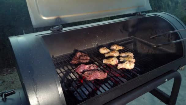 Asas Frango Churrasco Verão Mas Não Esqueça Dessas Peças Carne — Vídeo de Stock