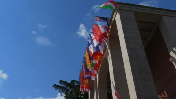 Різні Європейські Прапори Вершині Художнього Музею Мілані — стокове відео