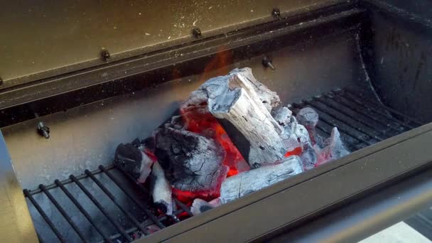 Preparar Charcol Para Churrasco Verão Carnes Estarão Cozinhando Nenhum Momento — Vídeo de Stock