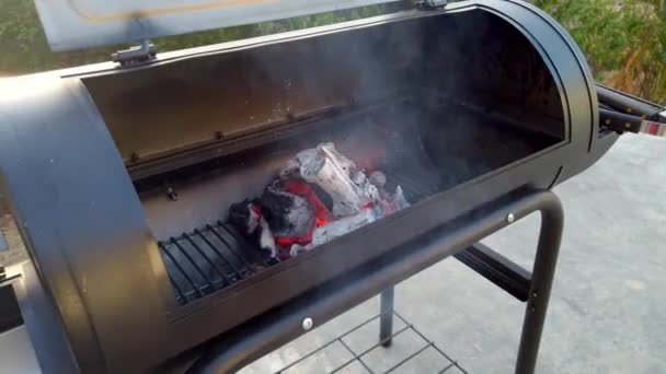 Preparando Charcol Para Barbacoa Verano Las Carnes Cocinan Hay Tiempo — Vídeo de stock