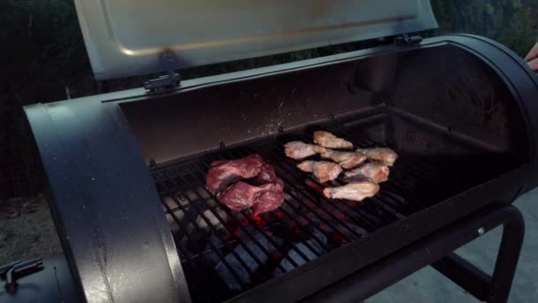 Asas Frango Churrasco Verão Mas Não Esqueça Dessas Peças Carne — Vídeo de Stock