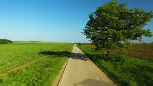 Empty Road Fields Big Tree Beautiful Blue Sky Rising Moon — 비디오