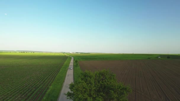 Car Passing Empty Road Fileds Moon Clear Blue Sky — Video Stock