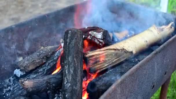 Burning Logs Brazier — Stock videók