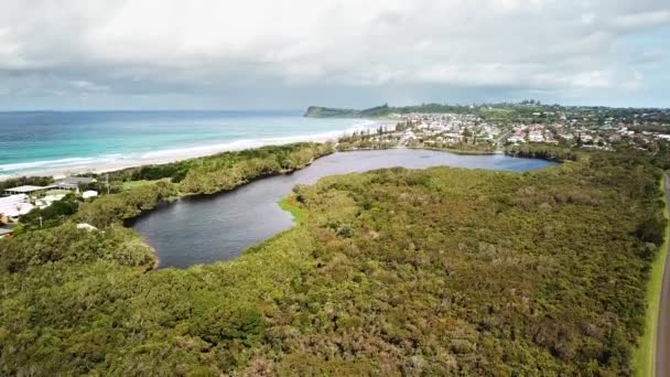 Беспилотник Поднимается Вверх Открывая Прибрежное Чайное Дерево Пляжем Заднем Плане — стоковое видео