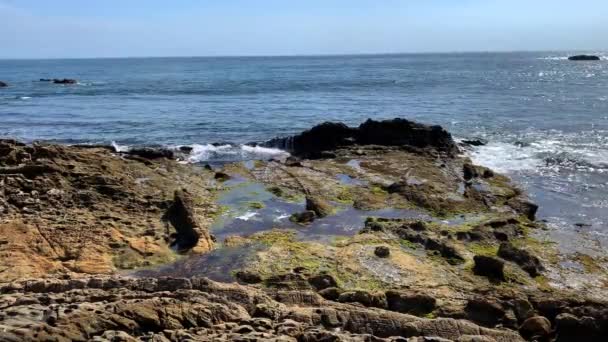 60P Tidal Pools Rocky Beach Waves Lapping Sunny Day Ocean — Stock video