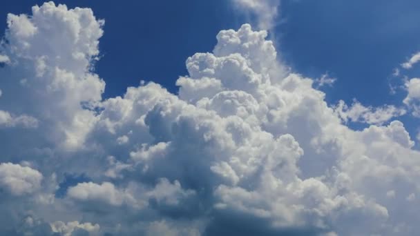 Color Time Lapse Looking Dramatic Fluffy White Clouds Moving Upward — Stock Video
