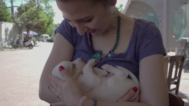 Beautiful Woman Holding Petting Brown Puppy Love — Vídeo de Stock