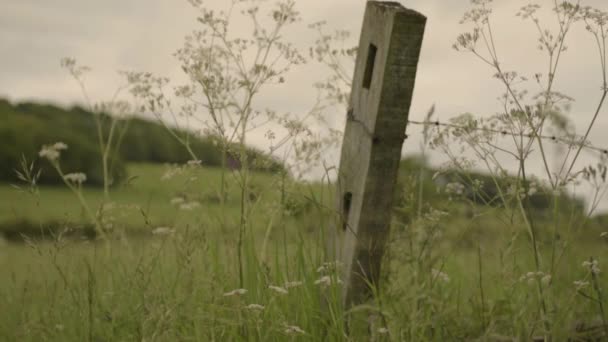 Wooden Farmers Fence Rural English Countryside — Stock Video