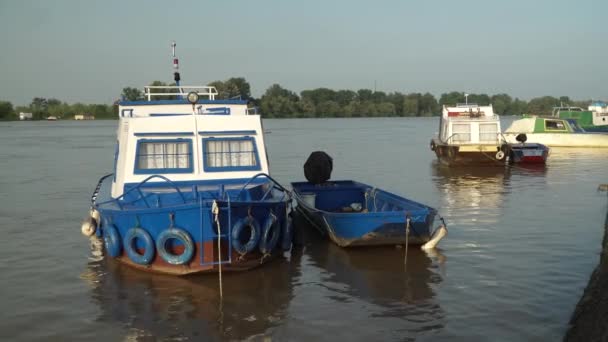 Boats River Sava Brcko District Bosnia Herzegovina — Video Stock