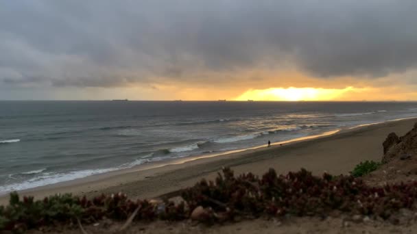 60P Golden Sunset Ocean Waves Lapping Beach Man Walking His — Video