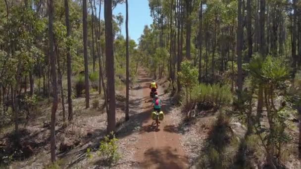 Bike Touring Western Australian Bush Munda Biddi Trail Aerial Drone — Stock videók