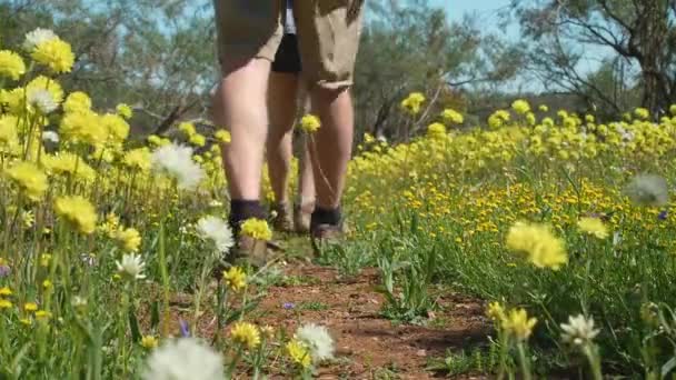 Young Couple Walks Dirt Path Lined Yellow Everlasting Wildflowers Coalseam — Video