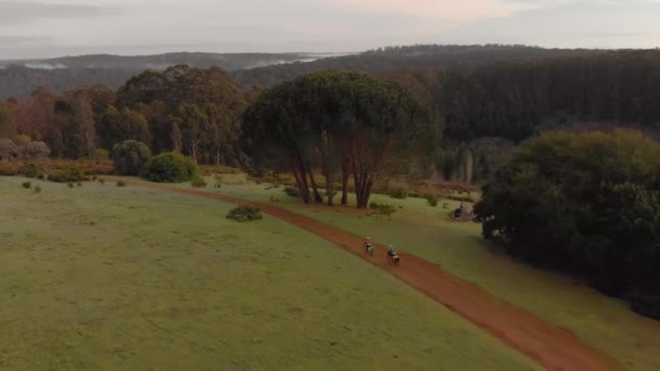 Bike Touring South West Australia Sunrise Munda Biddi Trail Aerial — Stockvideo