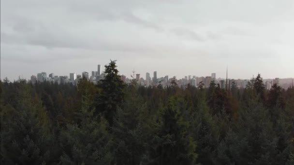Vancouver City Skyline Revealed Trees Stanley Park Rising Aerial Drone — Video