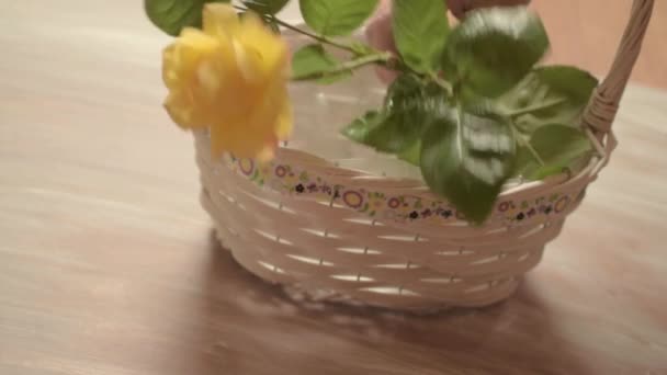 Putting Fresh Yellow Rose Flowers Basket — Stok video