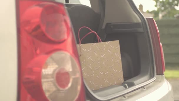 Getting Shopping Out Car Boot — Vídeos de Stock