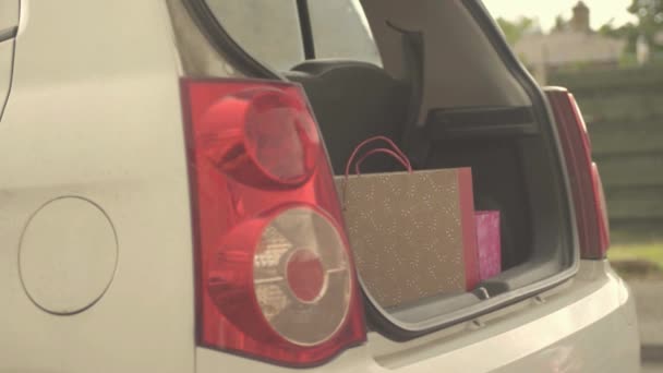 Getting Shopping Out Car Boot — Vídeo de Stock